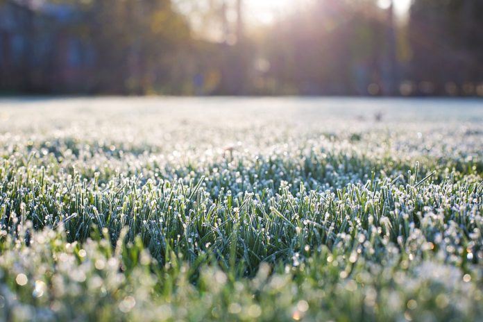 frost frost