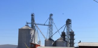 grain bins