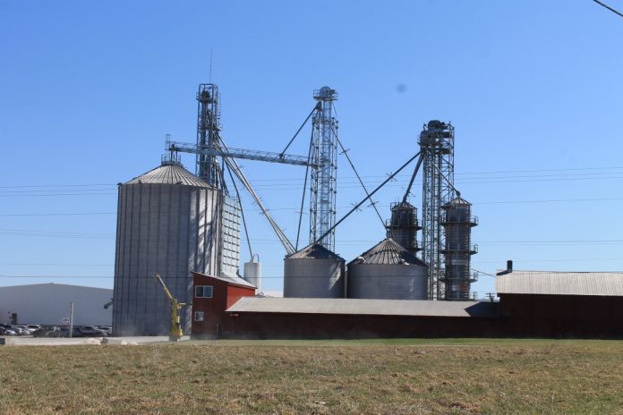 grain bins grain bins