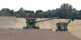 Fall harvest, 2018