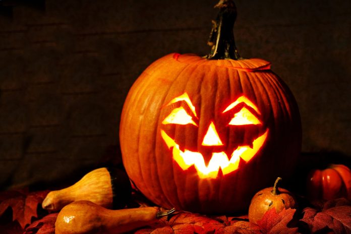 jack-o-lantern jack-o-lantern