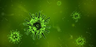 virus