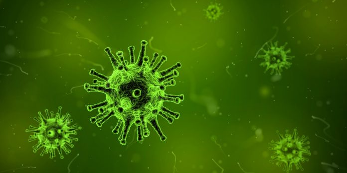 virus virus