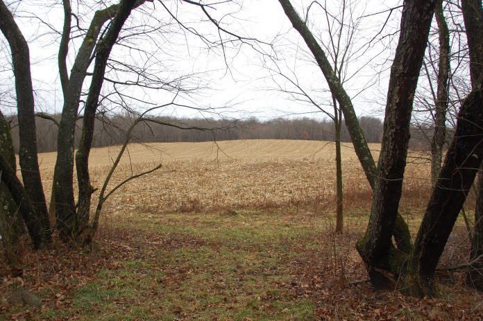 Elk Run Preserve Elk Run Preserve