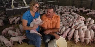 pork producer