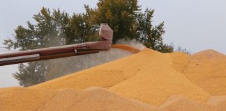 outdoor corn storage