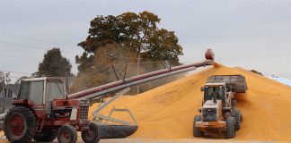 temporary corn storage