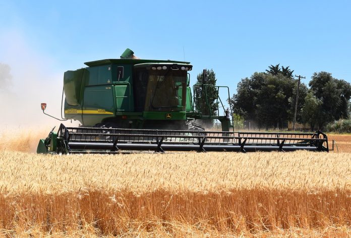 wheat harvest wheat harvest