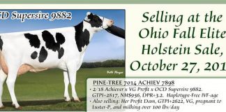 Ohio Holstein Sale