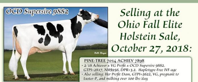 holstein-sale Ohio Holstein Sale