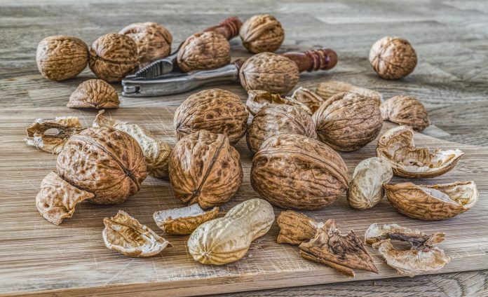 walnuts walnuts