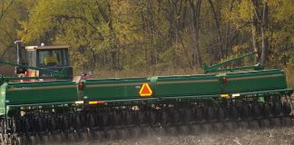 planting wheat