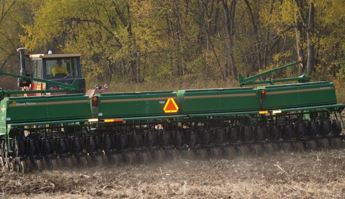 planting wheat planting wheat