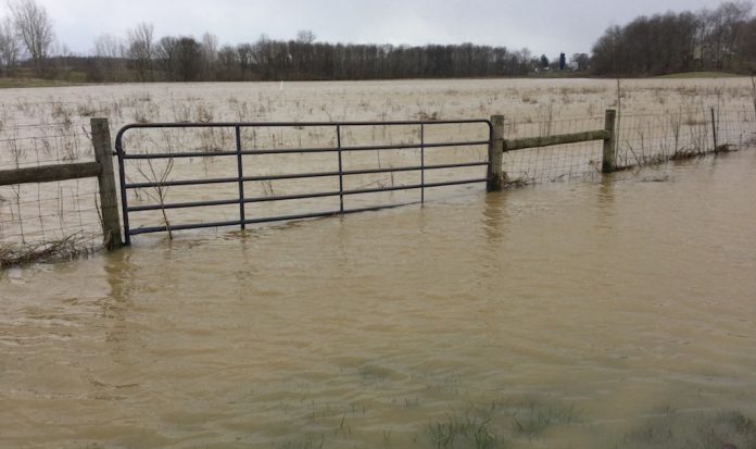 flooded farm ground flooded field