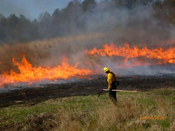 controlled burns controlled burns