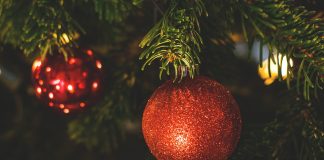 Christmas tree branches