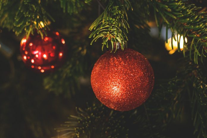Christmas tree branches Christmas tree branches