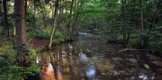 river