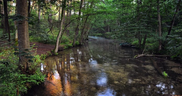 river river