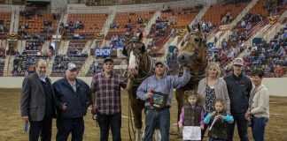 2019 Pennsylvania Farm Show pony pulls