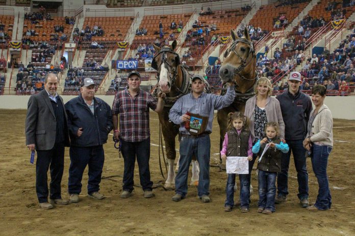 2019 Pennsylvania Farm Show pony pulls 2019 Pennsylvania Farm Show pony pulls