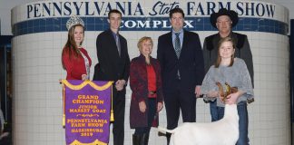 2019 Pennsylvania Farm Show livestock sale