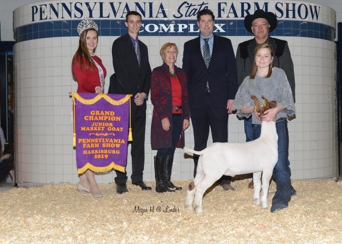2019 Pennsylvania Farm Show livestock sale 2019 Pennsylvania Farm Show livestock sale