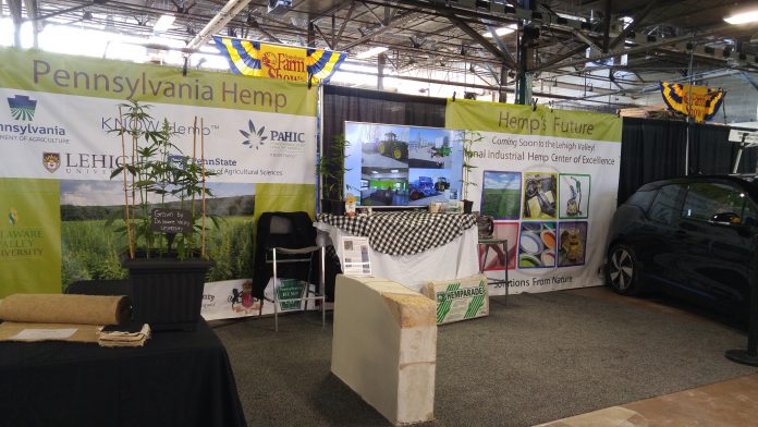 Pennsylvania hemp Pennsylvania hemp