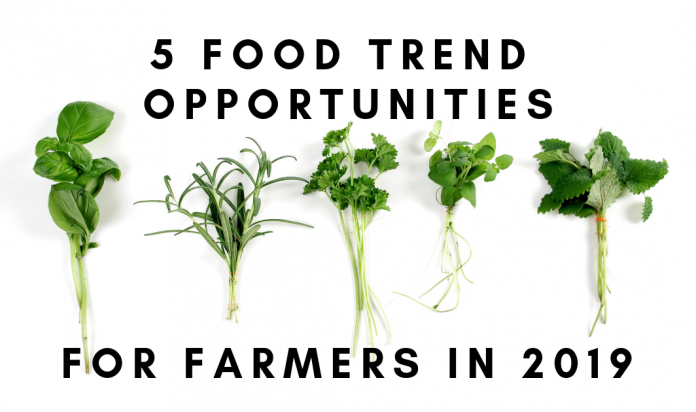 5 food trend banner 5 food trend banner