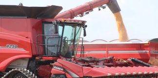 corn dump