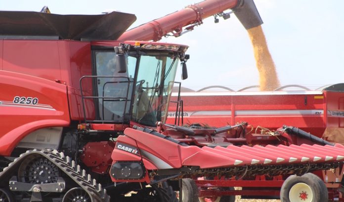 FSR grain dump close corn dump