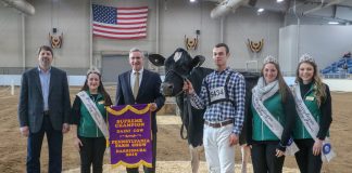 2019 Pennsylvania Farm Show supreme champion dairy cow
