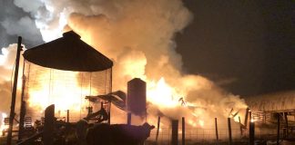 Wayne County barn fire. (Photo courtesy of Jonas Troyer, Orrville, Ohio)