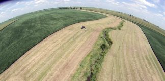 buffer strips