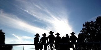 cowboys