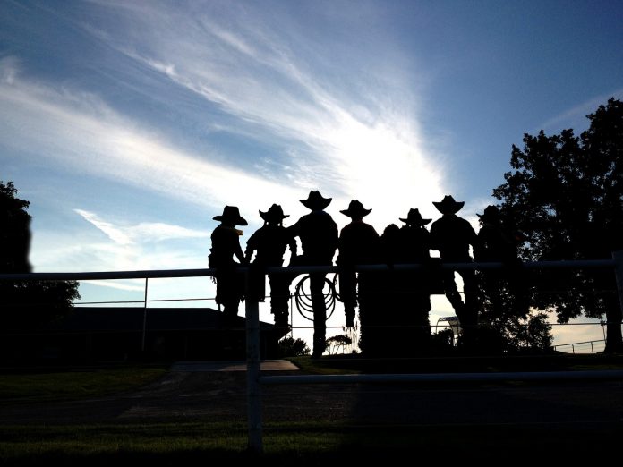cowboys cowboys