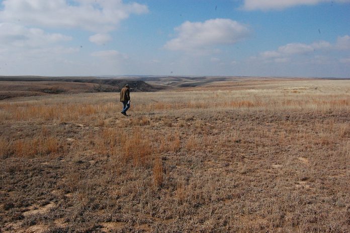 burnt pastures in Kansas burnt pastures in Kansas