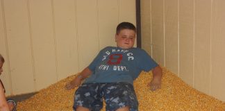 corn playpen