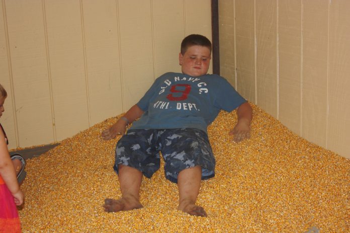 corn playpen corn playpen