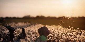 child in a dandelion field