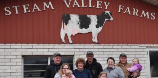 Steel family