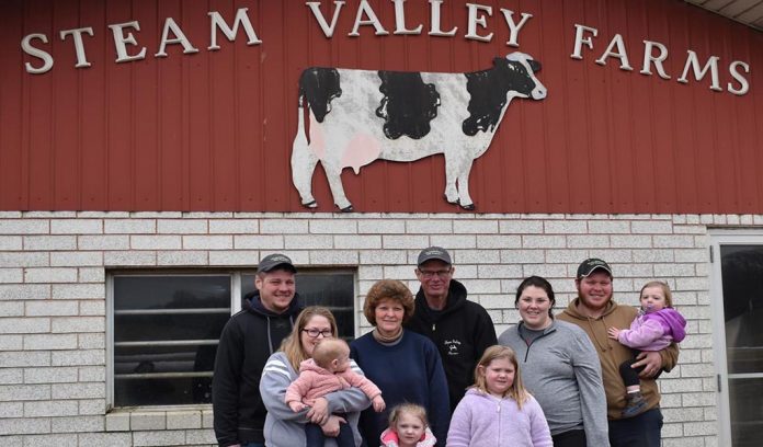 steam-valley Steel family