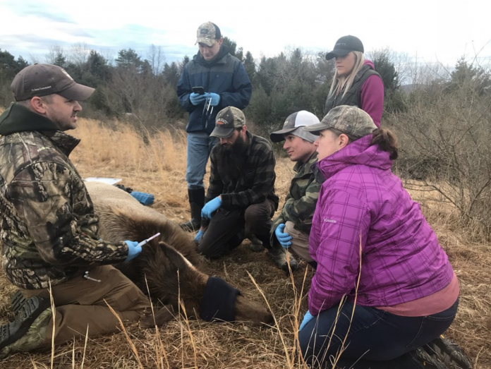 Pennsylvania Game Commission biologist with four Penn State students and their insturctor Pennsylvania Game Commission biologist with four Penn State students and their insturctor