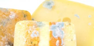 moldy cheese