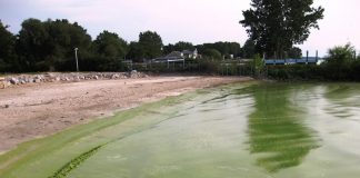 Lake Erie, toxic algal bloom, algae,