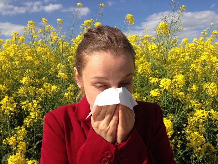 allergy allergy
