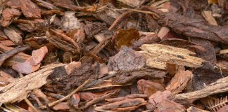 bark mulch