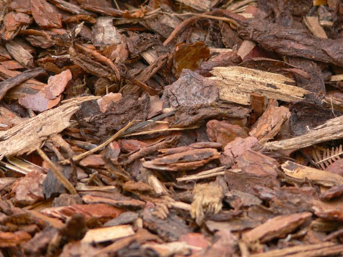 bark mulch bark mulch