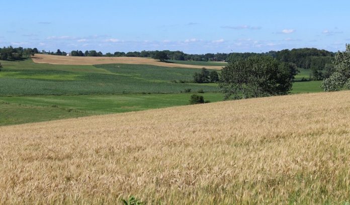 contour-strips-farm census of agriculture, Ohio farm,