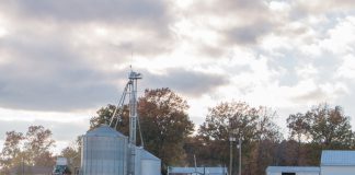 fall harvest grain bins USDA report planting